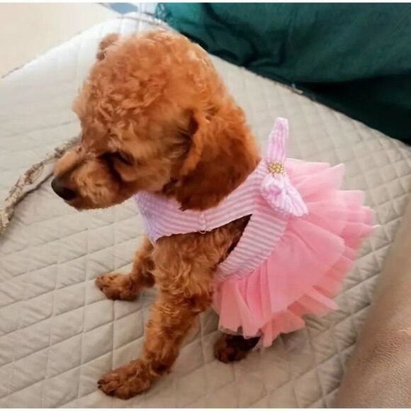 Pink Dog cat Pet Dress‎ XL with Bow NWOT - Picture 3 of 5